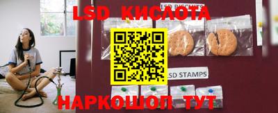 крисы Новозыбков