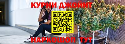 крисы Новозыбков