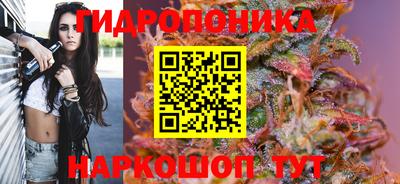 крисы Новозыбков