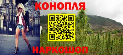 сатива Новокубанск