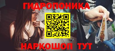 сатива Новокубанск
