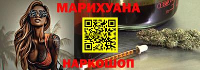 сатива Новокубанск