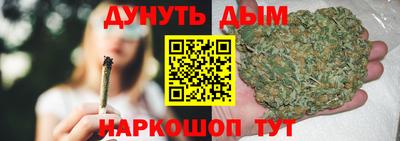 сатива Новокубанск