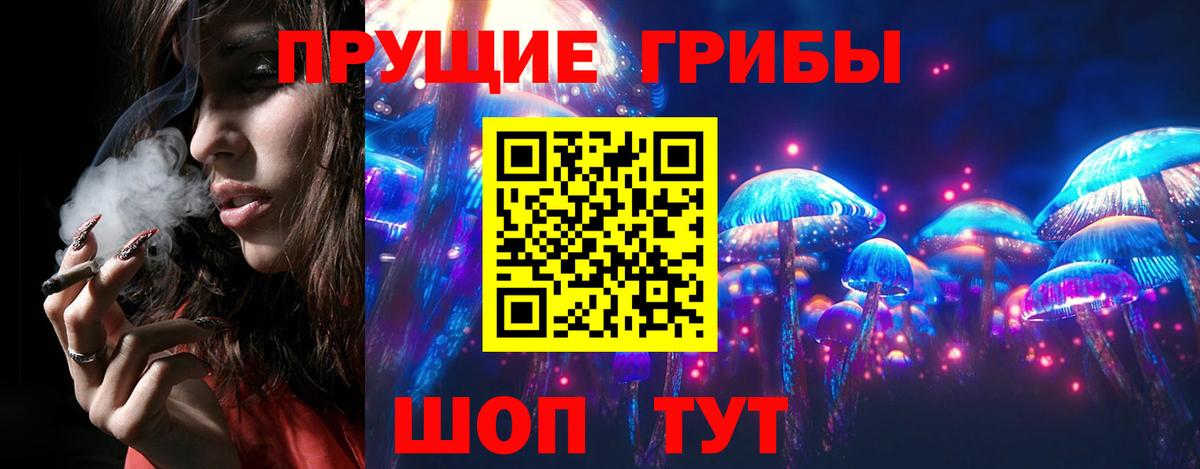 Строитель  Псилоцибиновые грибы прущие грибы  Вход с VPN 